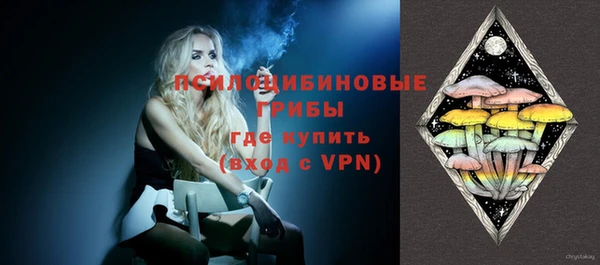 ешки Богородицк