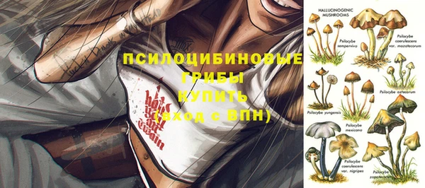 Альфа ПВП Беломорск
