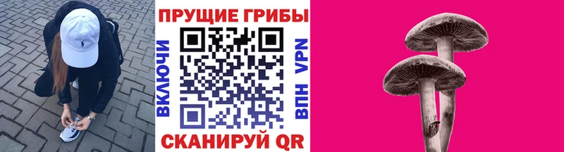 Галлюциногенные грибы Cubensis  как найти   Белая Калитва 